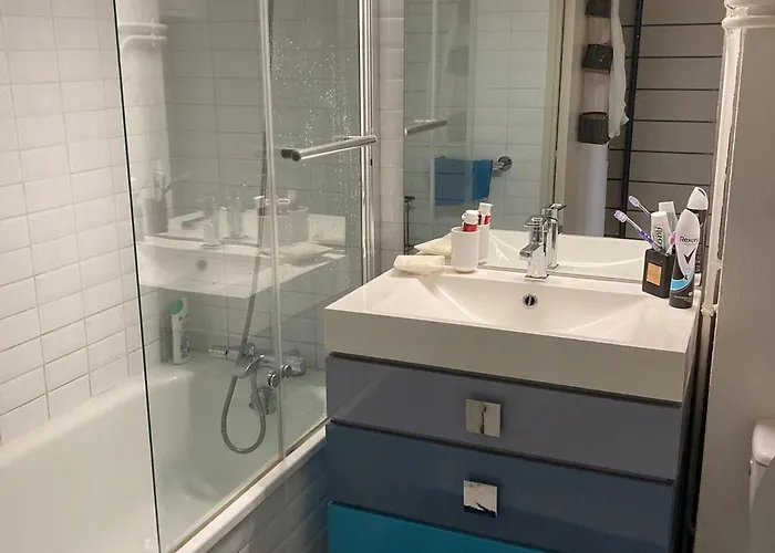 Duplex T2 Avec Balcon Et Terrasse, Les Pieds Dans L'eau, - Fr-1-420-126 * Arcachon