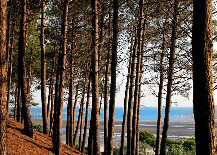 Apartman Duplex T2 Avec Balcon Et Terrasse, Les Pieds Dans L'eau, - Fr-1-420-126 *