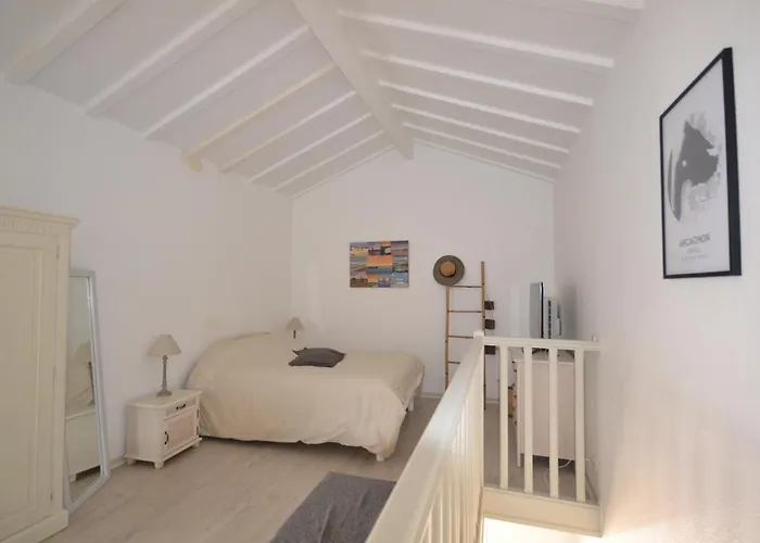 Apartman Duplex T2 Avec Balcon Et Terrasse, Les Pieds Dans L'eau, - Fr-1-420-126