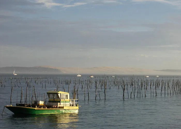 Duplex T2 Avec Balcon Et Terrasse, Les Pieds Dans L'eau, - Fr-1-420-126 Apartman *